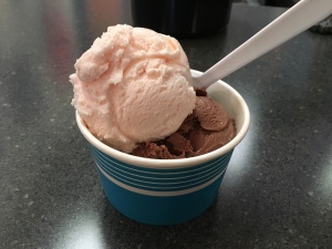 Treat, Raleigh, NC | In Search of a Scoop